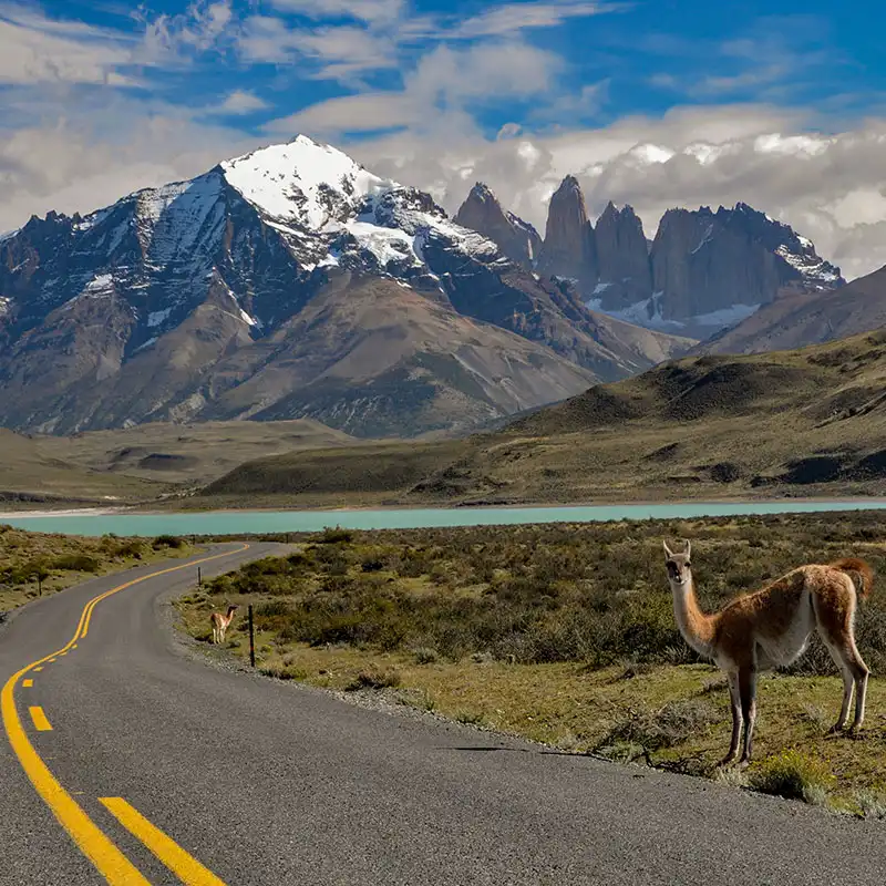 ทัวร์ชิลี