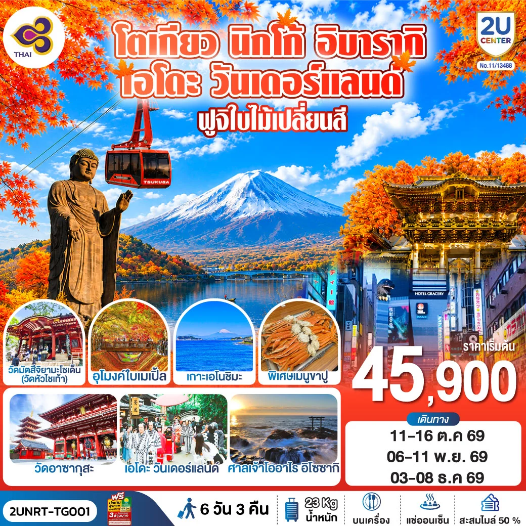 ทัวร์ญี่ปุ่น โตเกียว นิกโก้ เอโดะ วันเดอร์แลนด์ ฟูจิเปลี่ยนสี 6วัน 3คืน (TG)